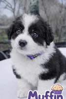 processed/aebb91bd-5a06-434a-8c4e-43691f439364/facility/9b3a2b84-3c75-4a16-b9ea-d19ae9284052