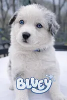 processed/aebb91bd-5a06-434a-8c4e-43691f439364/facility/c6a44ddc-1518-4548-bc0f-6c6cb6650c4b