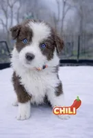 processed/aebb91bd-5a06-434a-8c4e-43691f439364/facility/d8d2f2ec-c3bb-469d-b4c4-6976e8132c8b