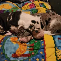 processed/aecc0d79-5199-4a0f-b14a-f40bb22e8651/facility/416187bf-88d2-4537-831f-24b75bd542ca