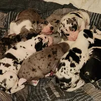 processed/aecc0d79-5199-4a0f-b14a-f40bb22e8651/facility/56155024-3440-493f-83f4-a4c1cd93221c