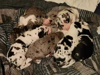 processed/aecc0d79-5199-4a0f-b14a-f40bb22e8651/facility/56155024-3440-493f-83f4-a4c1cd93221c