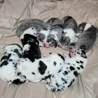 processed/aecc0d79-5199-4a0f-b14a-f40bb22e8651/facility/6b68587b-2626-4058-ae27-6cca8175431d