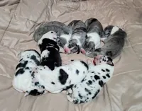 processed/aecc0d79-5199-4a0f-b14a-f40bb22e8651/facility/6b68587b-2626-4058-ae27-6cca8175431d