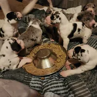 processed/aecc0d79-5199-4a0f-b14a-f40bb22e8651/facility/a05b7cc7-5d46-4cfd-8411-7694fa9baf11