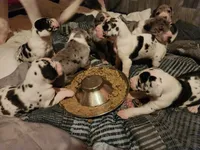 processed/aecc0d79-5199-4a0f-b14a-f40bb22e8651/facility/a05b7cc7-5d46-4cfd-8411-7694fa9baf11