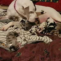 processed/aecc0d79-5199-4a0f-b14a-f40bb22e8651/facility/b36bdd72-6ffa-4465-9f61-ec4d46147181