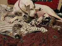 processed/aecc0d79-5199-4a0f-b14a-f40bb22e8651/facility/b36bdd72-6ffa-4465-9f61-ec4d46147181