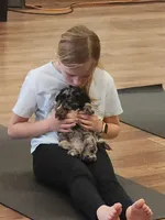 Pearl, a female Cockapoo and Poodle - Miniature  for sale in Gig Harbor, WA – 2 of 7