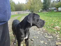 processed/aecc0d79-5199-4a0f-b14a-f40bb22e8651/listing/490fad57-5180-4771-ba9d-10a8eeea3bb0/1c4f72f8-ea97-444b-ae79-a83a61b334ad