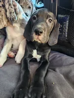 processed/aecc0d79-5199-4a0f-b14a-f40bb22e8651/listing/490fad57-5180-4771-ba9d-10a8eeea3bb0/212e1b77-8944-431e-9aff-e06bb2d4ab06