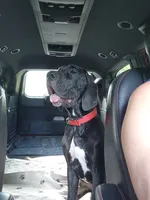 processed/aecc0d79-5199-4a0f-b14a-f40bb22e8651/listing/490fad57-5180-4771-ba9d-10a8eeea3bb0/31d66ab2-1df7-4746-a79b-a610e5ec5246