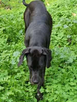 processed/aecc0d79-5199-4a0f-b14a-f40bb22e8651/listing/490fad57-5180-4771-ba9d-10a8eeea3bb0/600d8af1-c0fa-40b5-84c1-5eea7f03523c