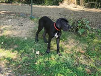 processed/aecc0d79-5199-4a0f-b14a-f40bb22e8651/listing/490fad57-5180-4771-ba9d-10a8eeea3bb0/92c3807d-bd60-4f24-996a-09fa4aee237c