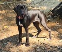 processed/aecc0d79-5199-4a0f-b14a-f40bb22e8651/listing/490fad57-5180-4771-ba9d-10a8eeea3bb0/a94e4283-ddab-4c7d-9030-e517c4ab77cd