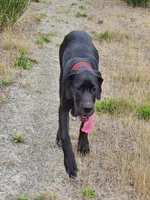 processed/aecc0d79-5199-4a0f-b14a-f40bb22e8651/listing/490fad57-5180-4771-ba9d-10a8eeea3bb0/c90af99f-ffdd-4b7c-97ec-71cbee613be8