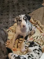 processed/aecc0d79-5199-4a0f-b14a-f40bb22e8651/listing/62ac877b-4dad-40f4-9755-8369ce637e5c/21504711-4bf6-4eeb-9151-ad67601f8470