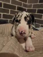 processed/aecc0d79-5199-4a0f-b14a-f40bb22e8651/listing/62ac877b-4dad-40f4-9755-8369ce637e5c/46cbe0c3-5e21-49e5-b06e-9995a76da9b7