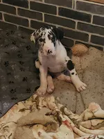 processed/aecc0d79-5199-4a0f-b14a-f40bb22e8651/listing/62ac877b-4dad-40f4-9755-8369ce637e5c/540a4220-3a93-4eaf-a33a-2aa6c2a7b2fb