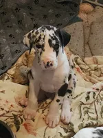 processed/aecc0d79-5199-4a0f-b14a-f40bb22e8651/listing/62ac877b-4dad-40f4-9755-8369ce637e5c/57962786-487d-4717-a302-d7c4d922c2ac