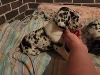 processed/aecc0d79-5199-4a0f-b14a-f40bb22e8651/listing/62ac877b-4dad-40f4-9755-8369ce637e5c/67235bfd-14d0-464b-988a-d0aa4f64a7fc