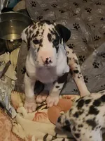 processed/aecc0d79-5199-4a0f-b14a-f40bb22e8651/listing/62ac877b-4dad-40f4-9755-8369ce637e5c/7e812014-2d4c-48c2-a849-b33386d4fe32