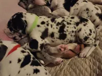 processed/aecc0d79-5199-4a0f-b14a-f40bb22e8651/listing/62ac877b-4dad-40f4-9755-8369ce637e5c/b2654ac7-fd7f-4592-9aa6-f41dc157c89f