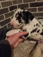 processed/aecc0d79-5199-4a0f-b14a-f40bb22e8651/listing/62ac877b-4dad-40f4-9755-8369ce637e5c/b3a59bde-73d3-48ab-a853-fd45bebfdcd6