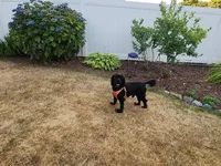 processed/aecc0d79-5199-4a0f-b14a-f40bb22e8651/listing/d1ad22aa-a34f-43c1-b6c9-0ad70bf404e7/505ff359-da78-4087-9623-db88936fc380