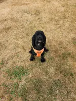 processed/aecc0d79-5199-4a0f-b14a-f40bb22e8651/listing/d1ad22aa-a34f-43c1-b6c9-0ad70bf404e7/96317103-e396-40be-b28d-0cfa36a9766f