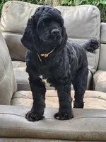 processed/aecc0d79-5199-4a0f-b14a-f40bb22e8651/listing/d1ad22aa-a34f-43c1-b6c9-0ad70bf404e7/9e26e6b9-e29e-4f8f-9610-44eabb84febd