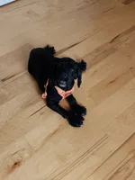 processed/aecc0d79-5199-4a0f-b14a-f40bb22e8651/listing/d1ad22aa-a34f-43c1-b6c9-0ad70bf404e7/a7594f36-6485-42cd-9e89-da6cf524f532