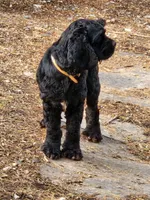 processed/aecc0d79-5199-4a0f-b14a-f40bb22e8651/listing/d1ad22aa-a34f-43c1-b6c9-0ad70bf404e7/b9e72732-c9dd-40e8-8101-93949e1f80ef