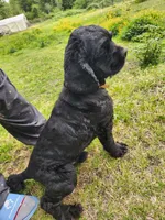 processed/aecc0d79-5199-4a0f-b14a-f40bb22e8651/listing/d1ad22aa-a34f-43c1-b6c9-0ad70bf404e7/cb8c8783-c7d3-41e8-a9de-36bbdb2450ee