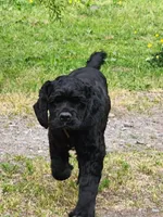 processed/aecc0d79-5199-4a0f-b14a-f40bb22e8651/listing/d1ad22aa-a34f-43c1-b6c9-0ad70bf404e7/d5757216-d4b5-45ca-b56d-5fd1d6ea1cac