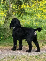 processed/aecc0d79-5199-4a0f-b14a-f40bb22e8651/listing/d1ad22aa-a34f-43c1-b6c9-0ad70bf404e7/e5aba79c-c585-44eb-9811-f881d0e5b226