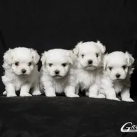 processed/aed555db-d020-40d7-b2f2-9b291dd9c259/facility/7388856f-b85a-4173-8cbb-183594ac239e