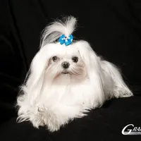 processed/aed555db-d020-40d7-b2f2-9b291dd9c259/facility/920d39e8-2ec0-4648-b905-58462714313b