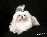 processed/aed555db-d020-40d7-b2f2-9b291dd9c259/facility/920d39e8-2ec0-4648-b905-58462714313b