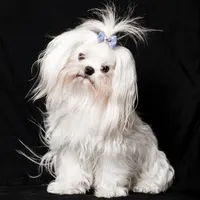 processed/aed555db-d020-40d7-b2f2-9b291dd9c259/facility/dd7931fb-a8e1-4d9f-9202-d6e848f06514