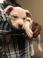 processed/aed5d6a6-3a2c-4c97-970b-c3983a38135a/listing/303c2046-4aef-4f28-a4de-b8d6664a4ae5/05a14012-0c65-44d8-8394-5679f2ac9383