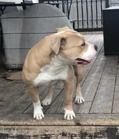 processed/aed5d6a6-3a2c-4c97-970b-c3983a38135a/listing/303c2046-4aef-4f28-a4de-b8d6664a4ae5/811ce080-8f35-420c-89ff-6c7b4c8ecadb