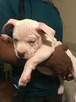 processed/aed5d6a6-3a2c-4c97-970b-c3983a38135a/listing/303c2046-4aef-4f28-a4de-b8d6664a4ae5/c62cc6e8-efb7-40c4-aafb-21c984336dec