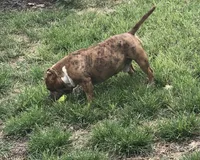 processed/aed5d6a6-3a2c-4c97-970b-c3983a38135a/listing/d856fd8d-2a4f-40ca-b4da-c6f2754d5d7d/05396301-759d-4f95-9f29-d00ab12e597b