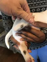 processed/aed5d6a6-3a2c-4c97-970b-c3983a38135a/listing/d856fd8d-2a4f-40ca-b4da-c6f2754d5d7d/0a9c84ca-4a63-4c4b-b72d-70b0b39e2fc9