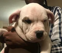 processed/aed5d6a6-3a2c-4c97-970b-c3983a38135a/listing/d856fd8d-2a4f-40ca-b4da-c6f2754d5d7d/1ab1903f-3df1-4036-90ef-cd4c2189b1c7