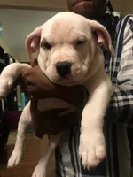 processed/aed5d6a6-3a2c-4c97-970b-c3983a38135a/listing/d856fd8d-2a4f-40ca-b4da-c6f2754d5d7d/1ebf8cac-6ed6-41b6-93ef-bd50104f4fa3