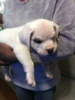 processed/aed5d6a6-3a2c-4c97-970b-c3983a38135a/listing/d856fd8d-2a4f-40ca-b4da-c6f2754d5d7d/73def65d-8f02-4586-9a12-d1e27e041c77