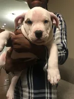 processed/aed5d6a6-3a2c-4c97-970b-c3983a38135a/listing/d856fd8d-2a4f-40ca-b4da-c6f2754d5d7d/8200d43f-ba22-4499-b46c-f0fcc1c8dbab