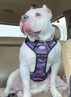 processed/aed5d6a6-3a2c-4c97-970b-c3983a38135a/listing/d856fd8d-2a4f-40ca-b4da-c6f2754d5d7d/8bfde6bd-e9e3-4ce9-9548-4bb35b49c30d